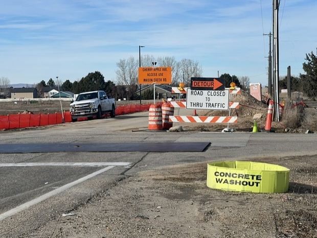 Rhino at a road project